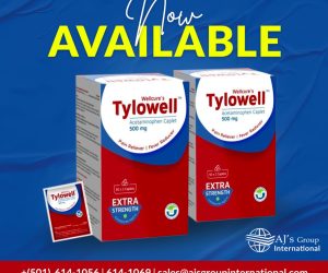 Wellcure's Tylowell - Acetaminophen 500mg