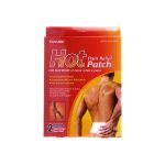 Pure Aid Hot Pain Relief Patch (2 patches)
