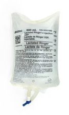Lactate Ringer Hartman Solution x 500 ml January 2025