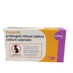 Valporic Acid Dyzantil 500mg Prolong Release 30ct April/2025 Buy 6 get 1 Free