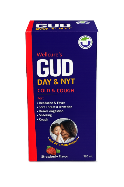Wellcure's Gud Day and Nyt Suspension 120ml